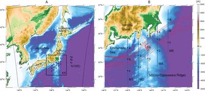 Seasonal variability of upper ocean primary production along the Kuroshio off Japan: Roles of eddy-driven nutrient transport